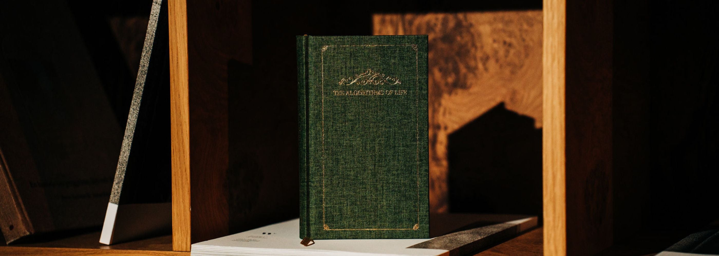 The Algorithms of life guided gratitude journal, journaling and manifestation tool , cover 